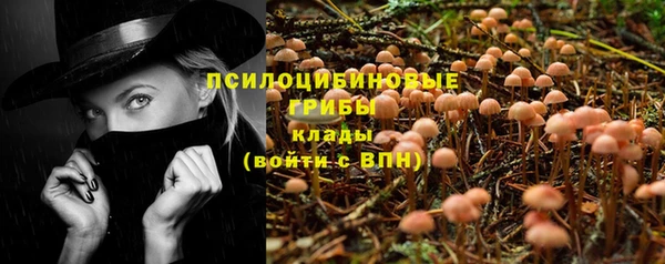 прущий лед Бронницы